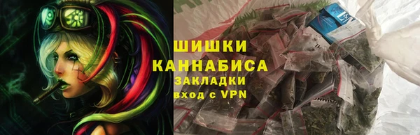 spice Инсар
