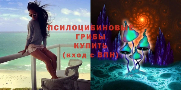 гашик Рославль