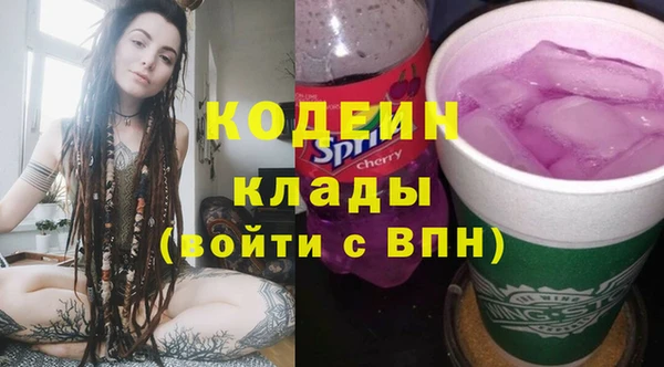дживик Россошь