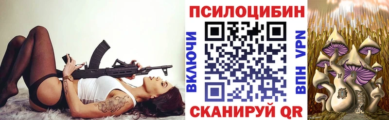 площадка клад  Нюрба  Псилоцибиновые грибы мицелий 